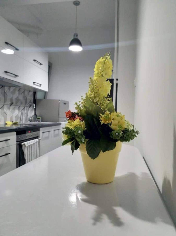 A Convenient Apartment In The Heart Of Athens Ngoại thất bức ảnh